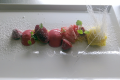 food009